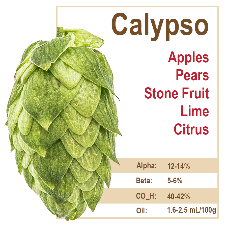 Calypso Hops