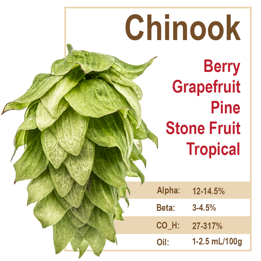 Chinook Hops