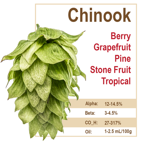 Chinook Hops
