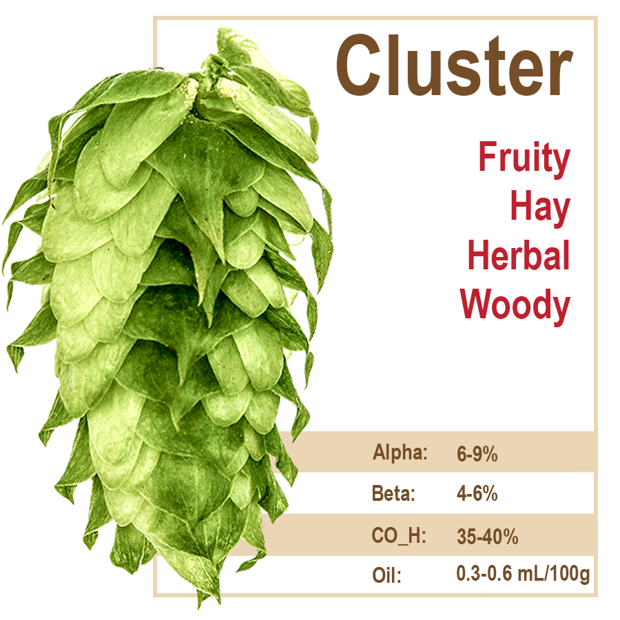 Cluster Hops
