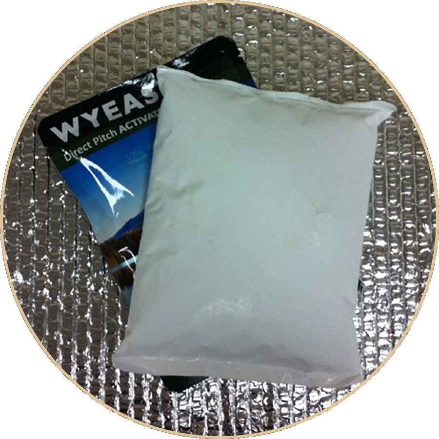 Cold Pack for Liquid Yeast
