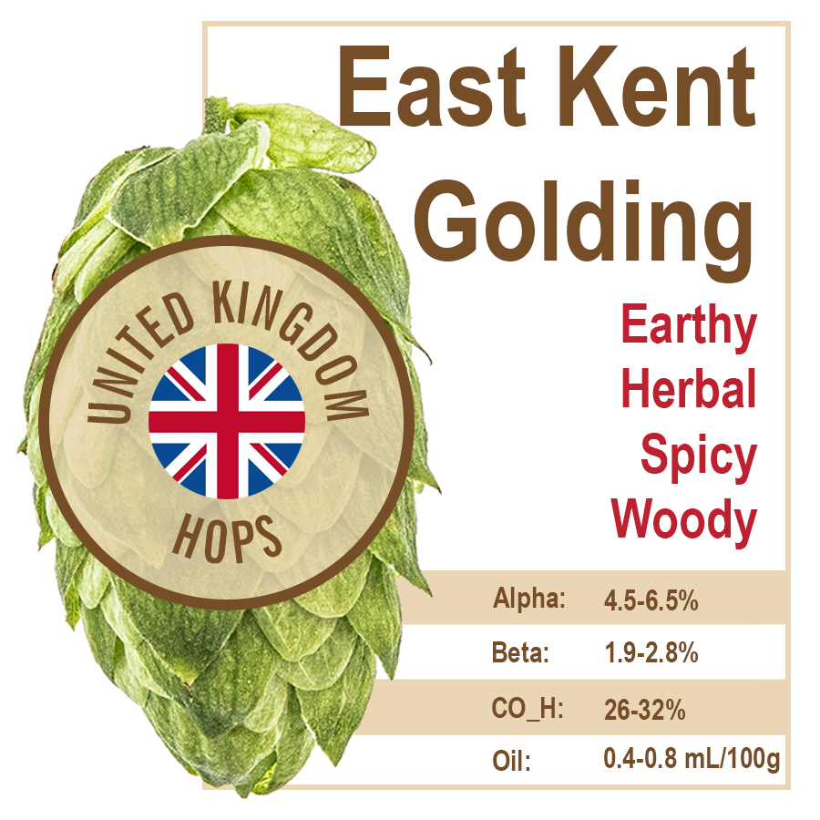 East Kent Golding (UK) Hops