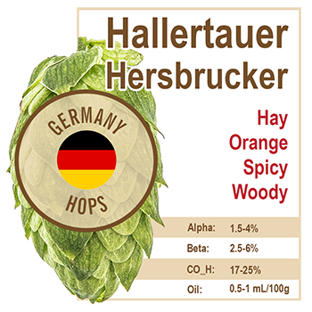 Hersbrucker (GR) Hops