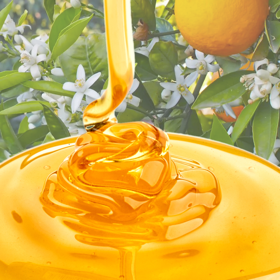 Honey | Orange Blossom