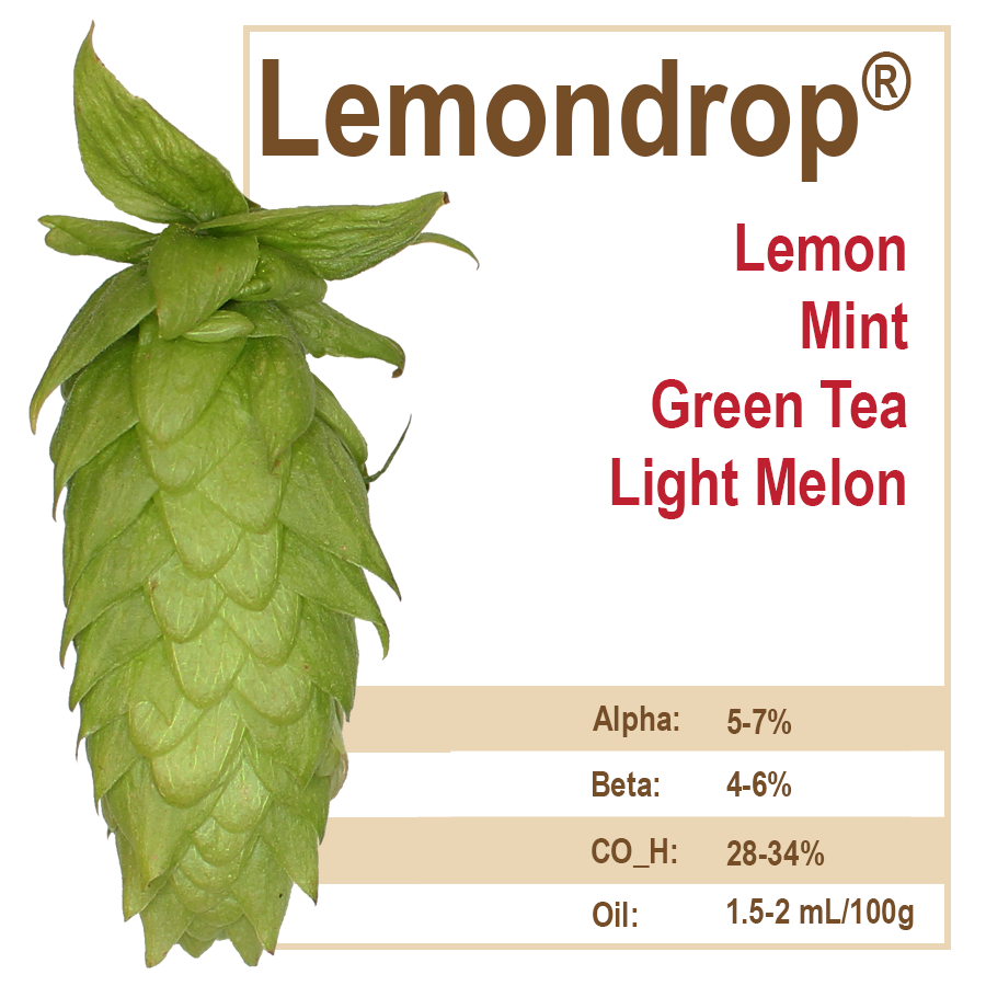 Lemondrop® Hops